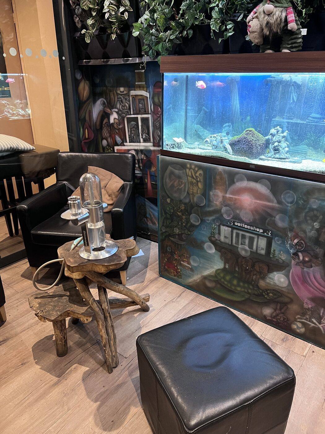 Back room with full-wall psychedelic murals and the plant wall above the aquarium